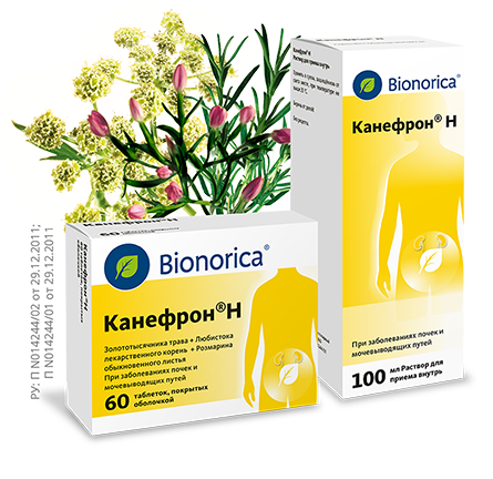 Упаковки Канефрон®
