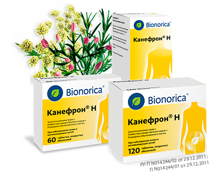 Пачки Канефрон® Н