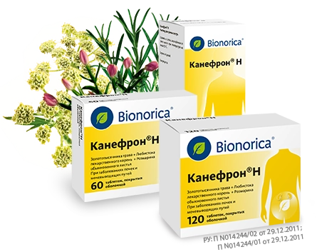 Канефрон® Н