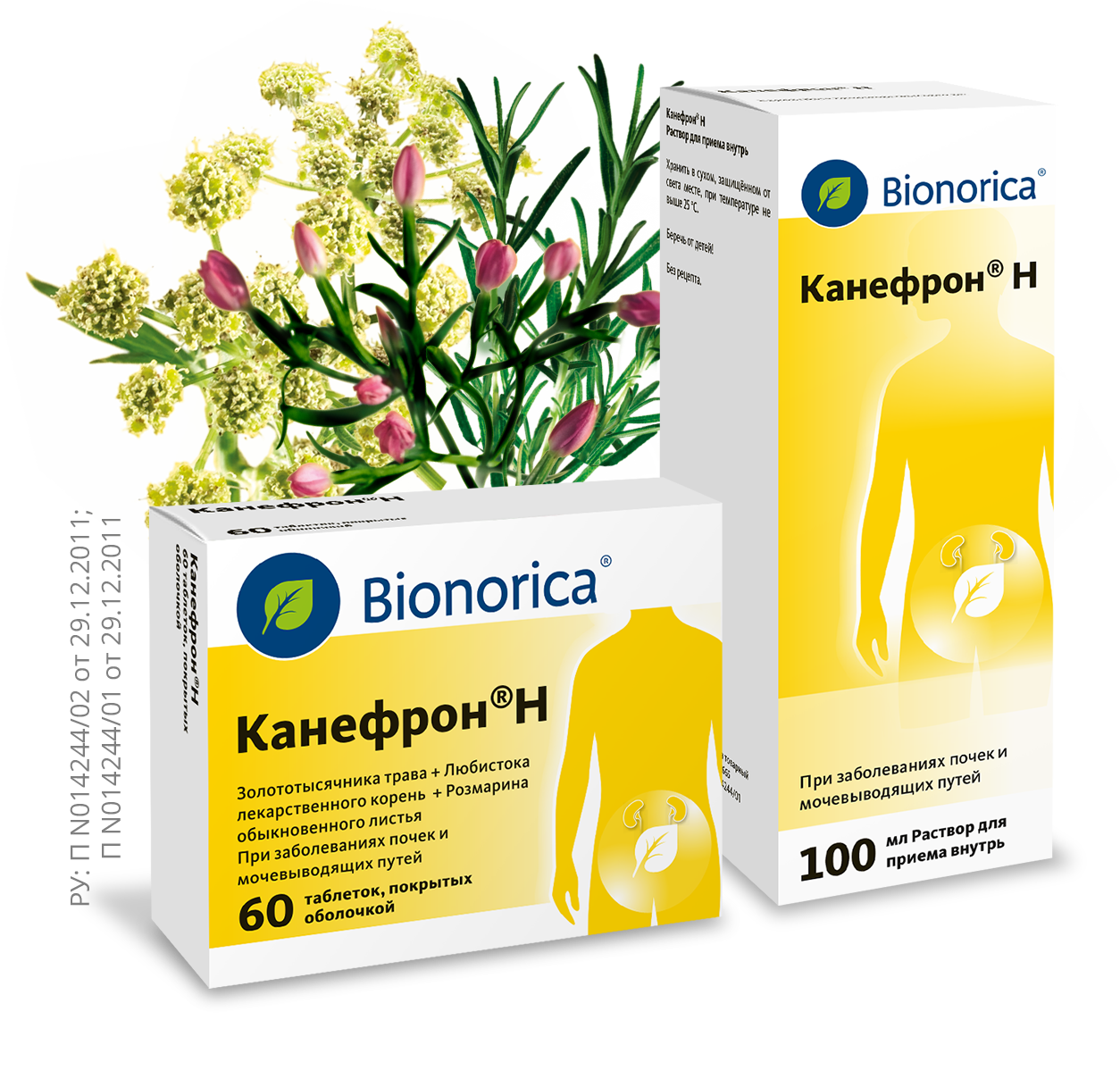 Канефрон® Н