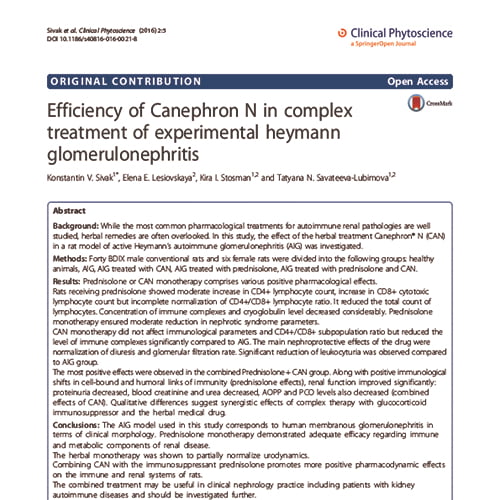 Статья Efficiency of Canephron N in complex treatment of experimental heymann glomerulonephritis