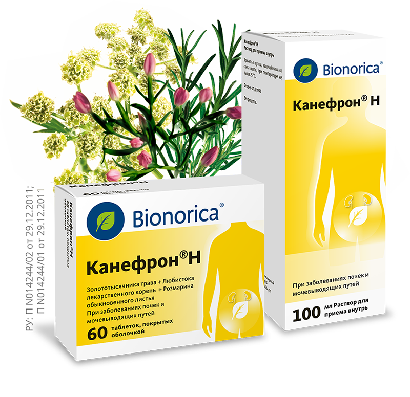 упаковки Канефрон