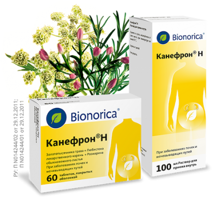 упаковки Канефрон