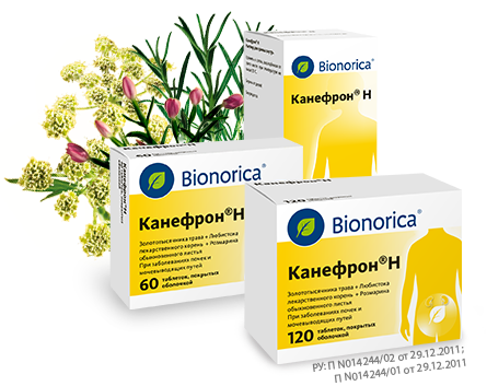 упаковки Канефрон
